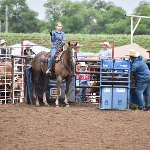 Meet your Posher, Audrey